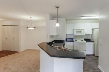 Double stainless sink
